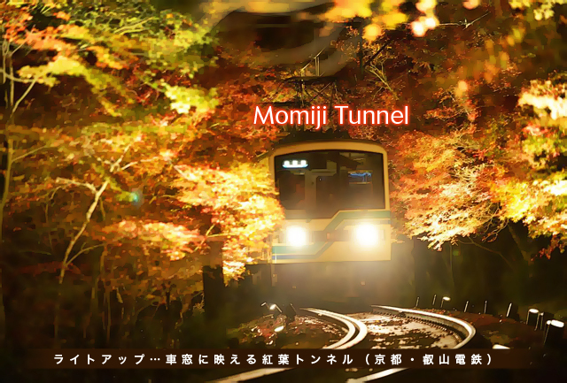 11.16Momiji Tunnel.jpg